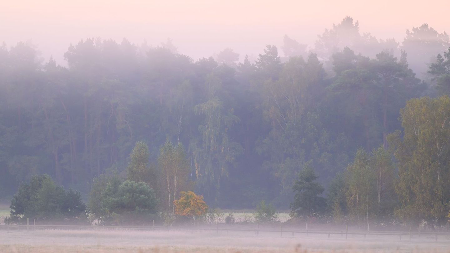 Die Nebelfelder lösen sich am Vormittag rasch auf. (Archivbild) Foto: Patrick Pleul/dpa