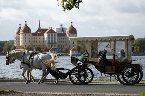 Die Kutschfahrt endete am Dienstagnachmittag abrupt nach dem Unfall. (Symbolbild) Foto: Sebastian Kahnert/dpa