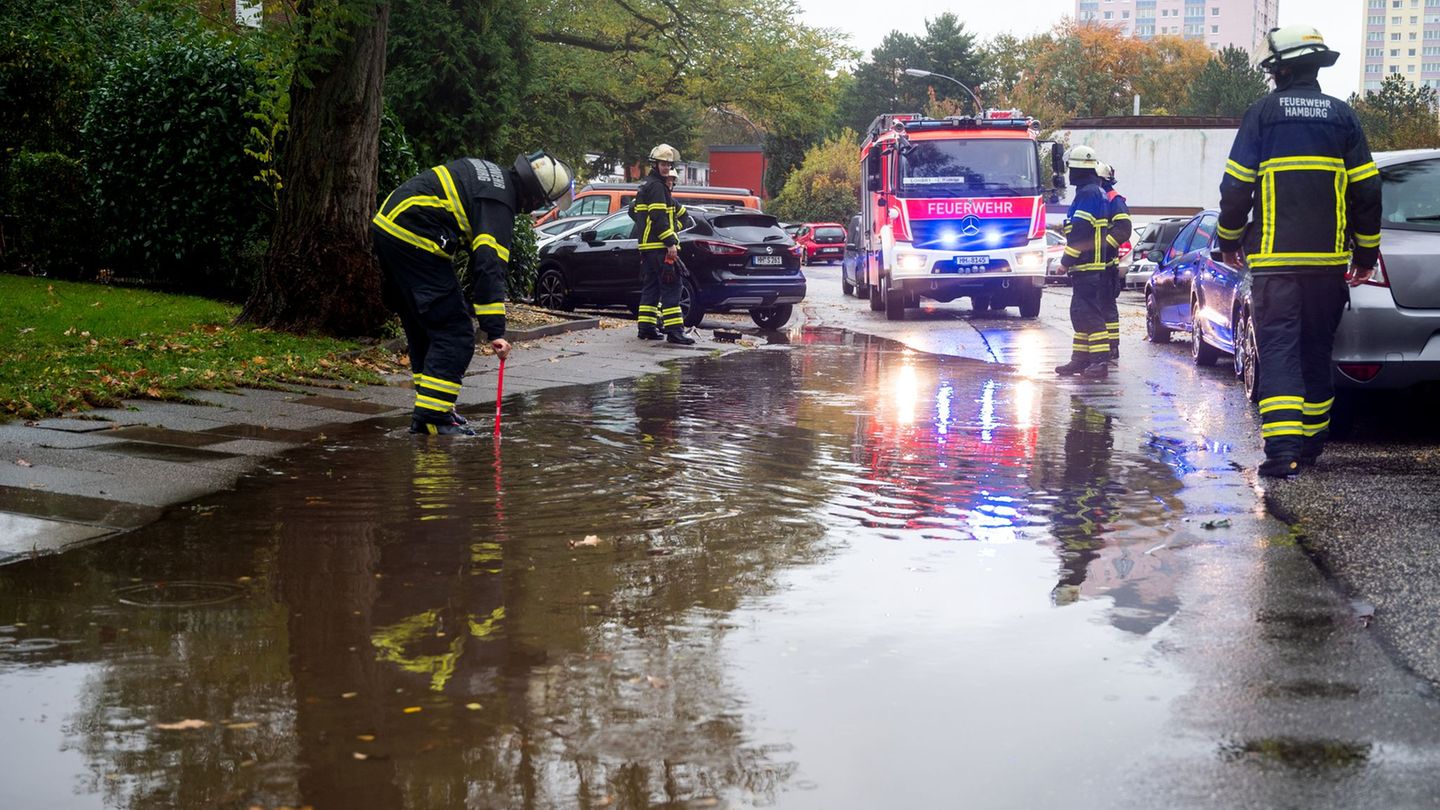 Hamburger können jetzt online die Überflutungsgefahren für ihr Haus oder ihren Wohnort adressgenau abfragen (Archivbild). Foto: