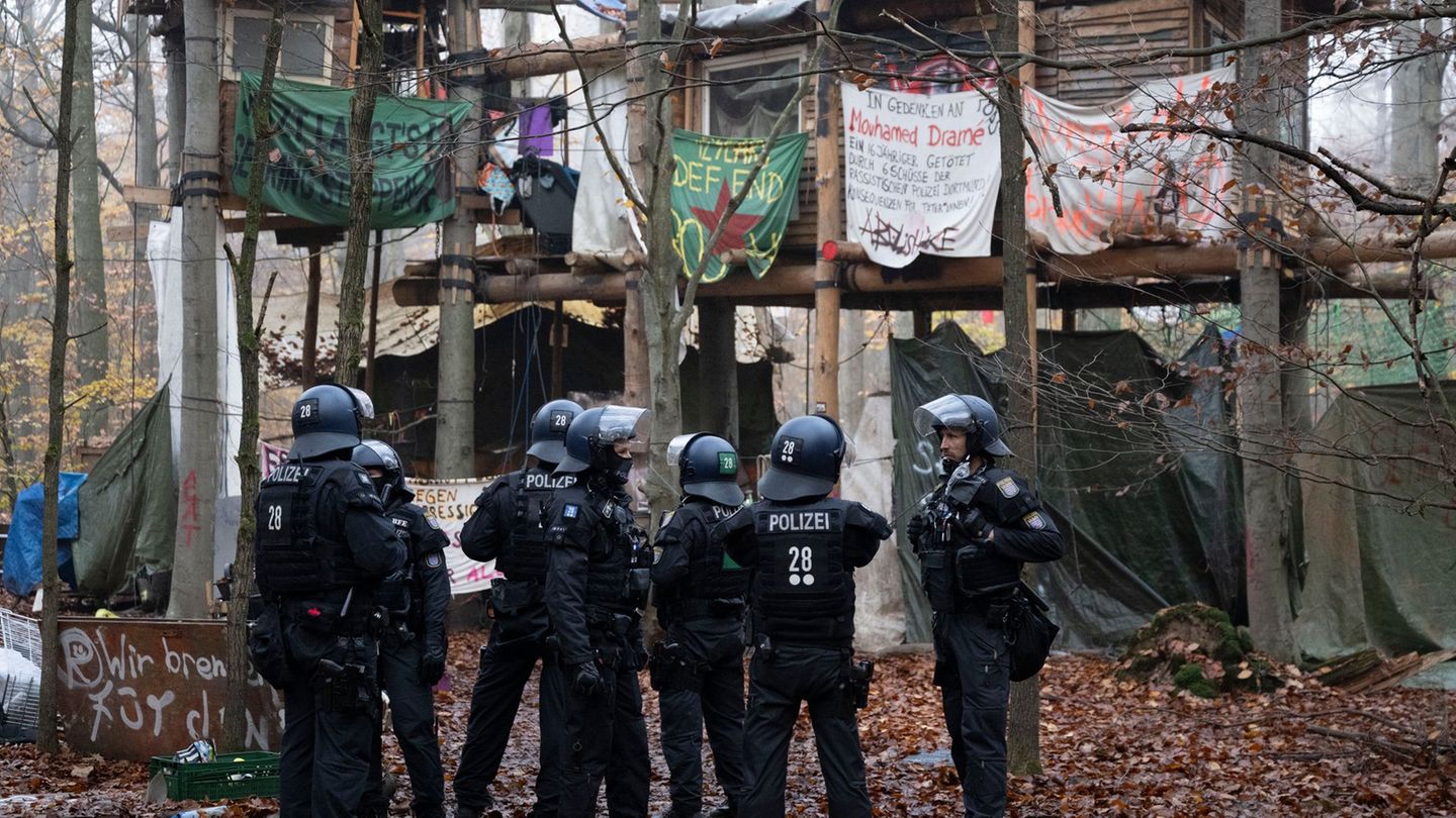 Die Besetzer haben in dem Waldgebiet Baumhäuser errichtet. Foto: Boris Roessler/dpa