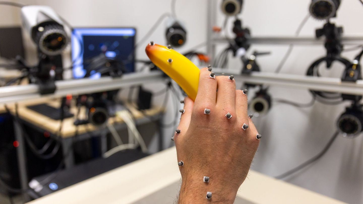 Insgesamt fünf Universitäten aus Hessen und Rheinland-Pfalz haben in zwei Verbünden ihre Anträge auf Millionenförderung als Exze