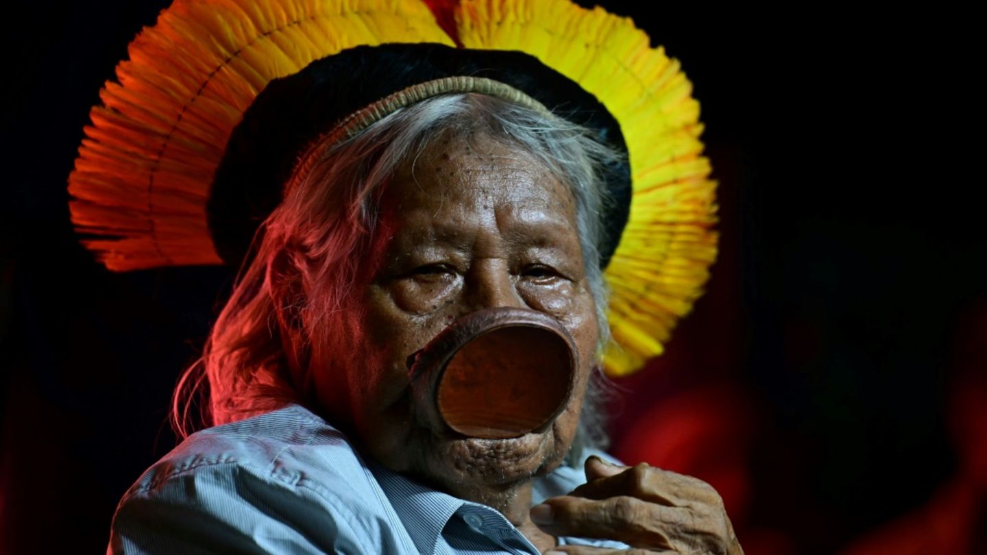 Altehrwürdiger Umweltaktivist