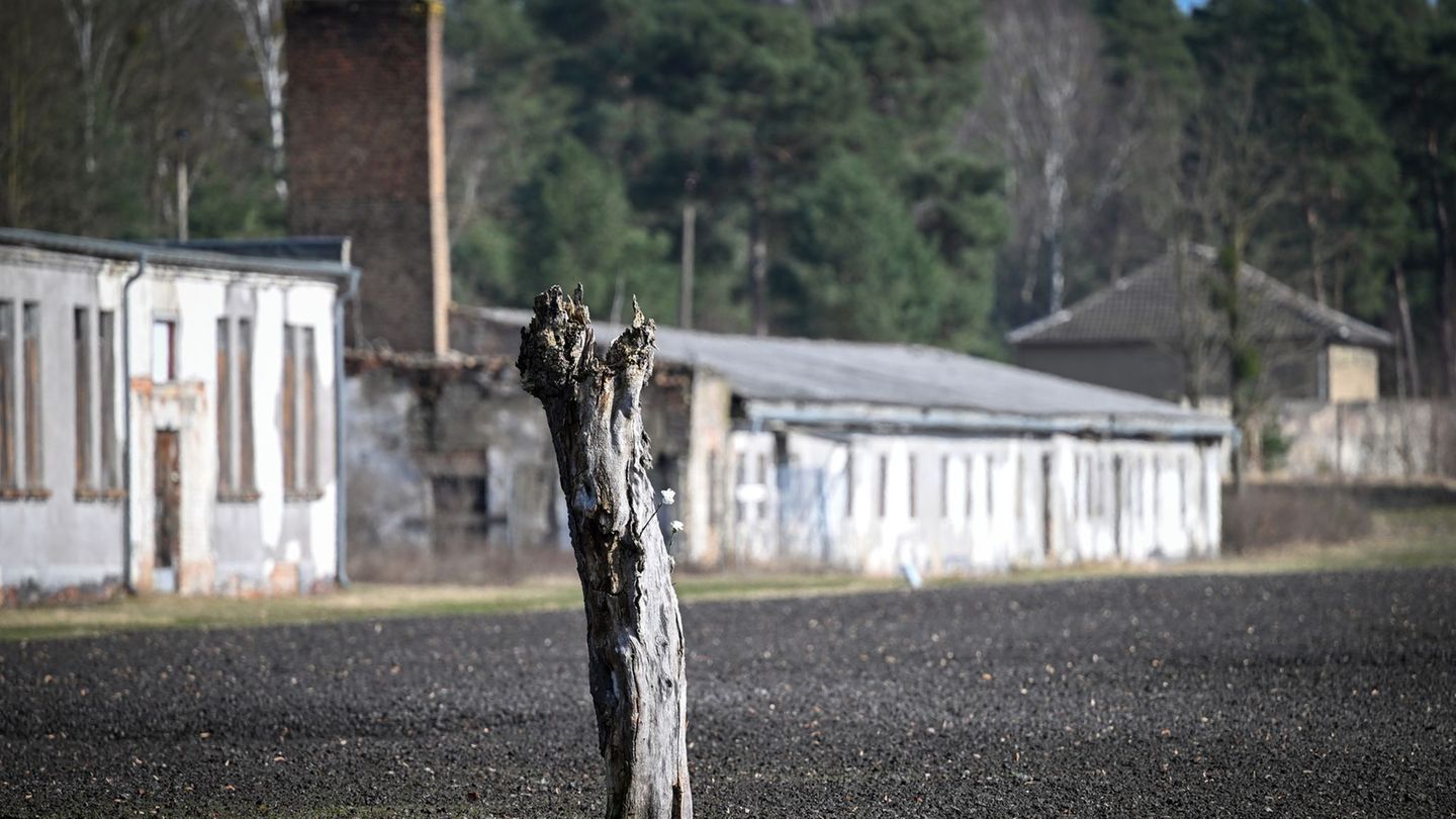 In der neuen Gedenkstättenkonzeption ist ein Schwerpunkt der Erhalt und die Sanierung historischer Orte. (Archivbild) Foto: Soer