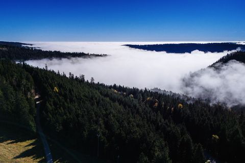 Der Nationalpark im Schwarzwald wird erweitert. (Archivbild) Foto: Philipp von Ditfurth/dpa