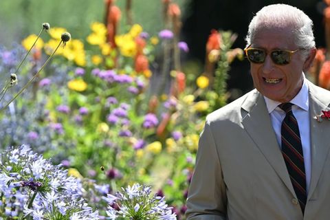 König Charles gilt als großer Naturliebhaber.