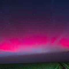 Polarlichter am Horizont leuchten pink