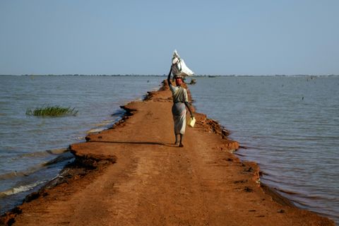 Überschwemmtes Land