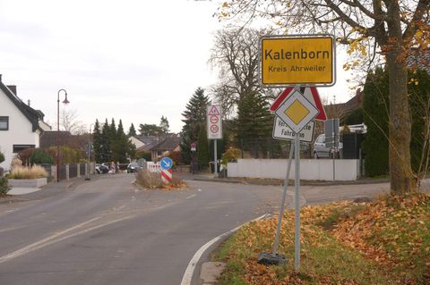 Im Wald bei Kalenborn wird nach einer mutmaßlichen großen Raubkatze gesucht