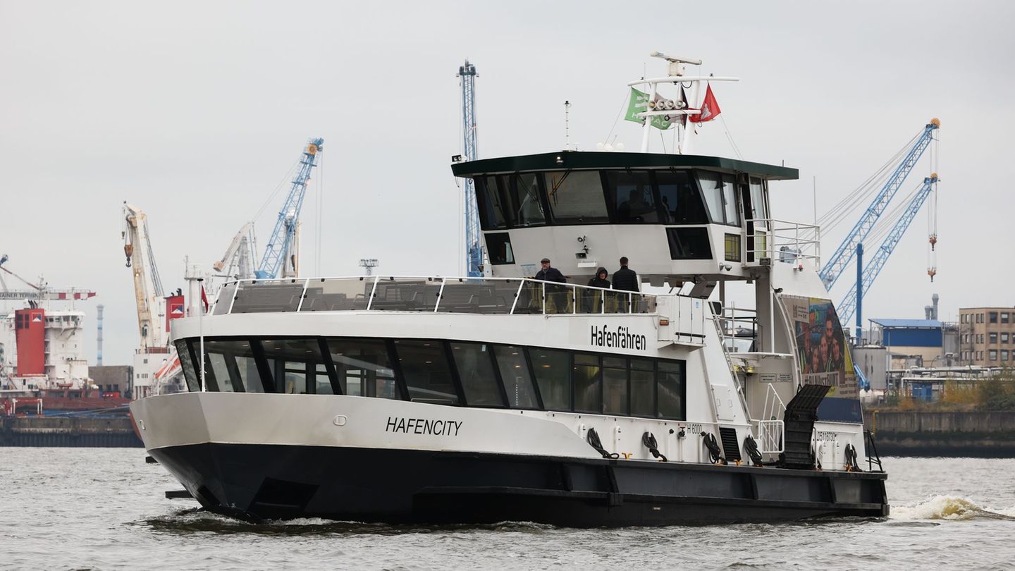 Im Winter fahren weniger Hadag-Fähren über die Elbe. (Archivbild) Foto: Christian Charisius/dpa