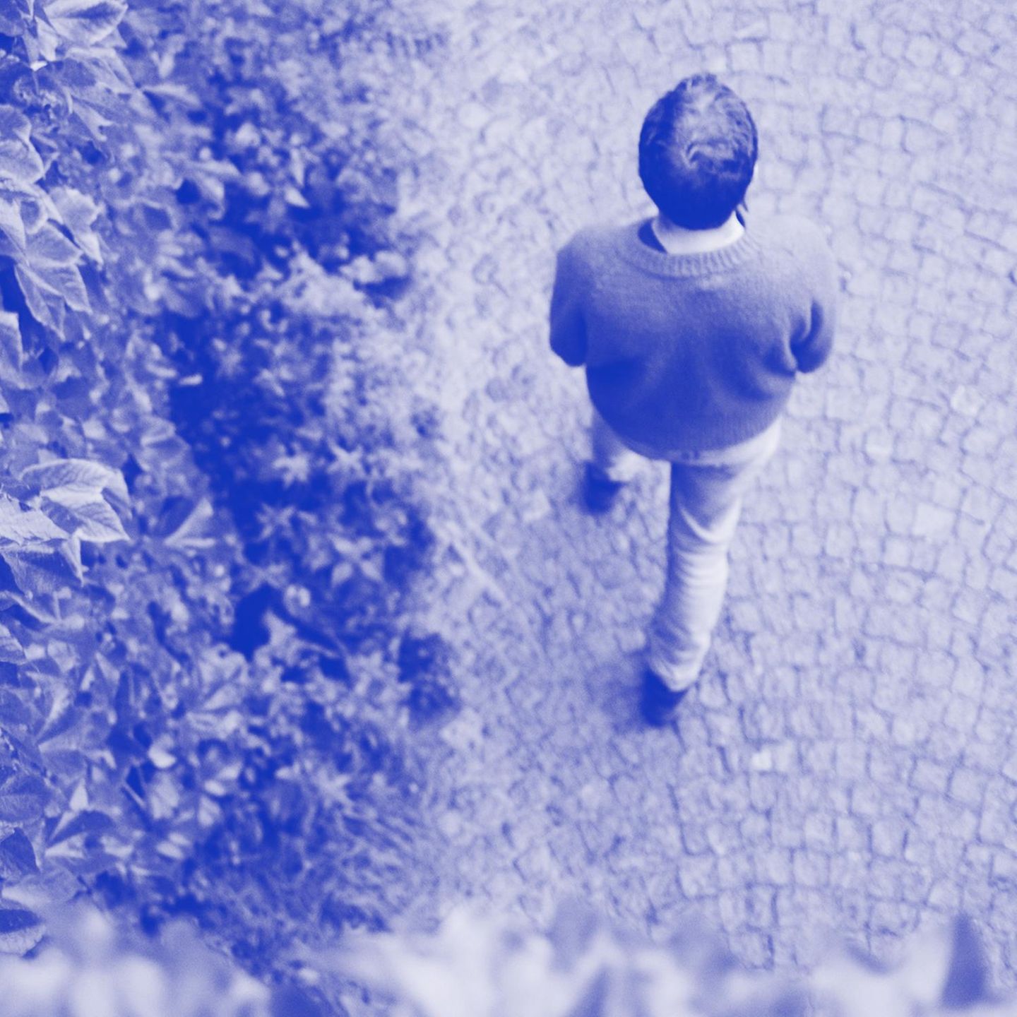 Aus der Vogelperspektive: Ein Mann geht an einer Hecke entlang