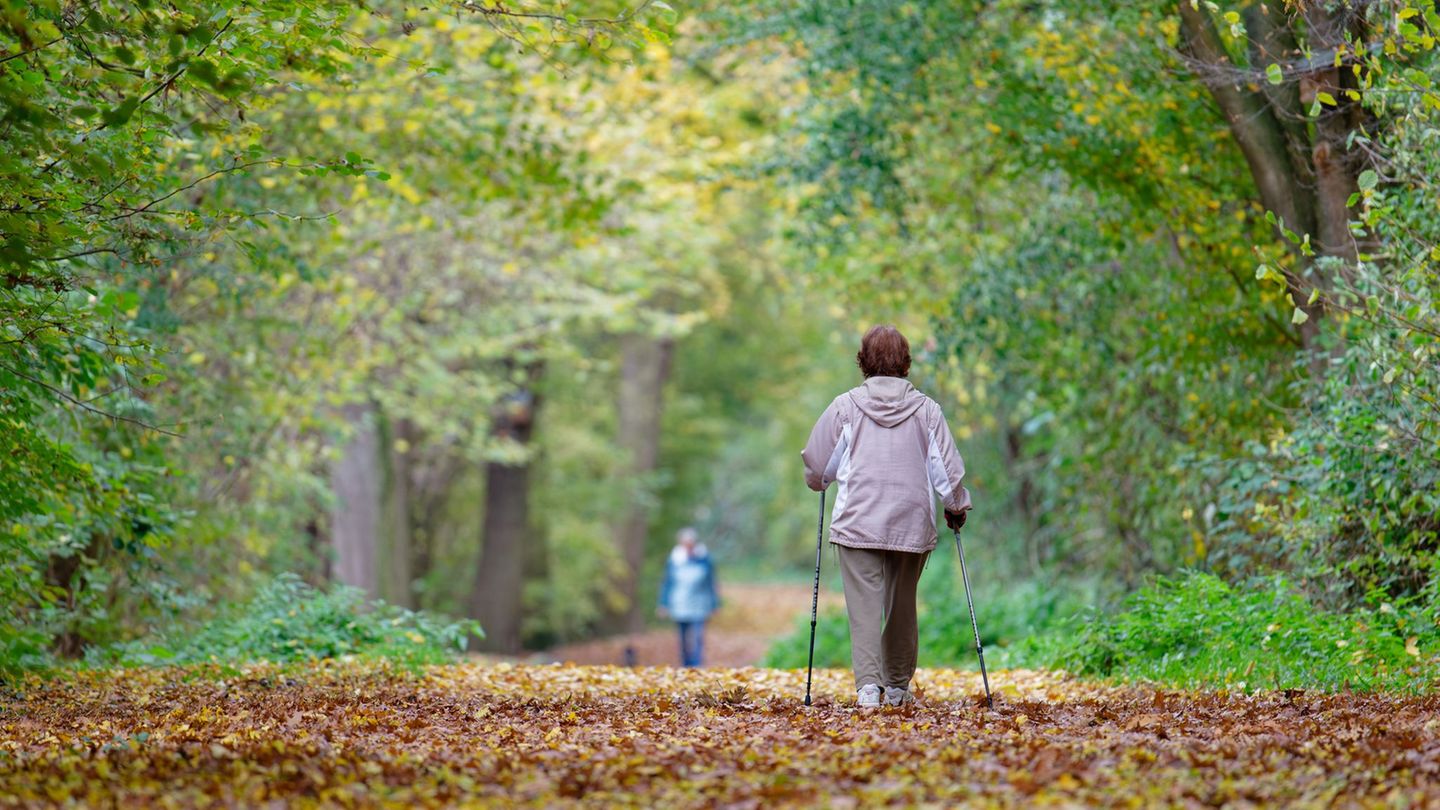 Laut DWD wird der Donnerstag sonnig und ungewöhnlich mild. Genau das richtige Wetter, um frische Luft zu schnuppern.(Archiv) Fot