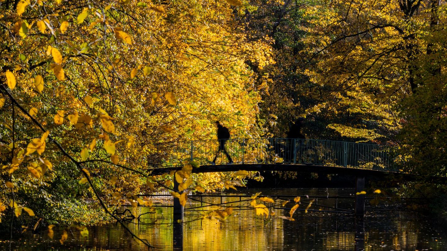 Am Donnerstag gibt es in NRW sonniges Wetter. Foto: Rolf Vennenbernd/dpa