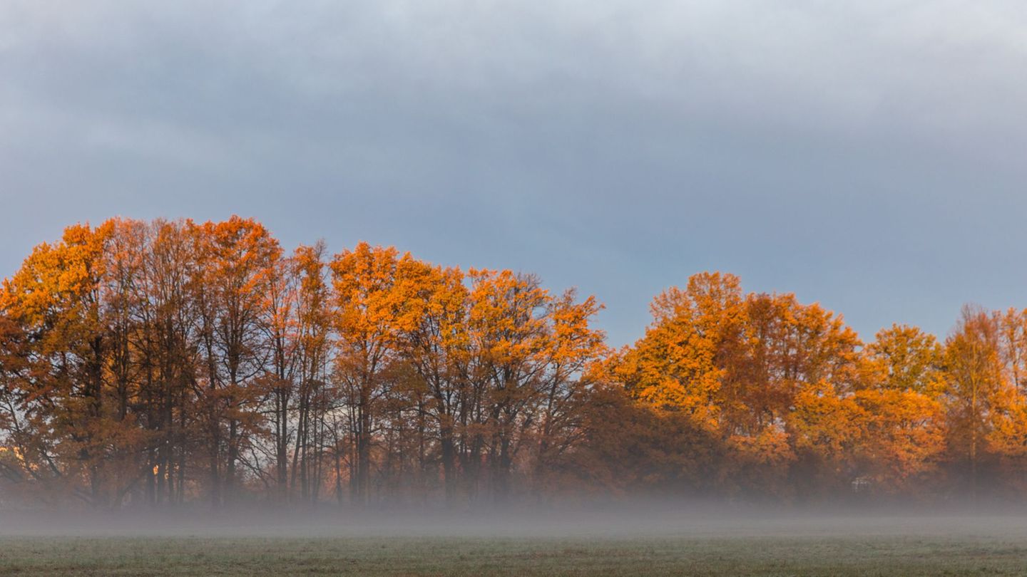 Nebel und Wolken hängen über Berlin und Brandenburg. (Symbolbild) Foto: Frank Hammerschmidt/dpa