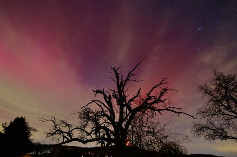 Heute Nacht gibt es wieder die Chance, Polarlichter in Baden-Württemberg zu sehen. (Archivbild) Foto: Alexander Wolf/onw-images/