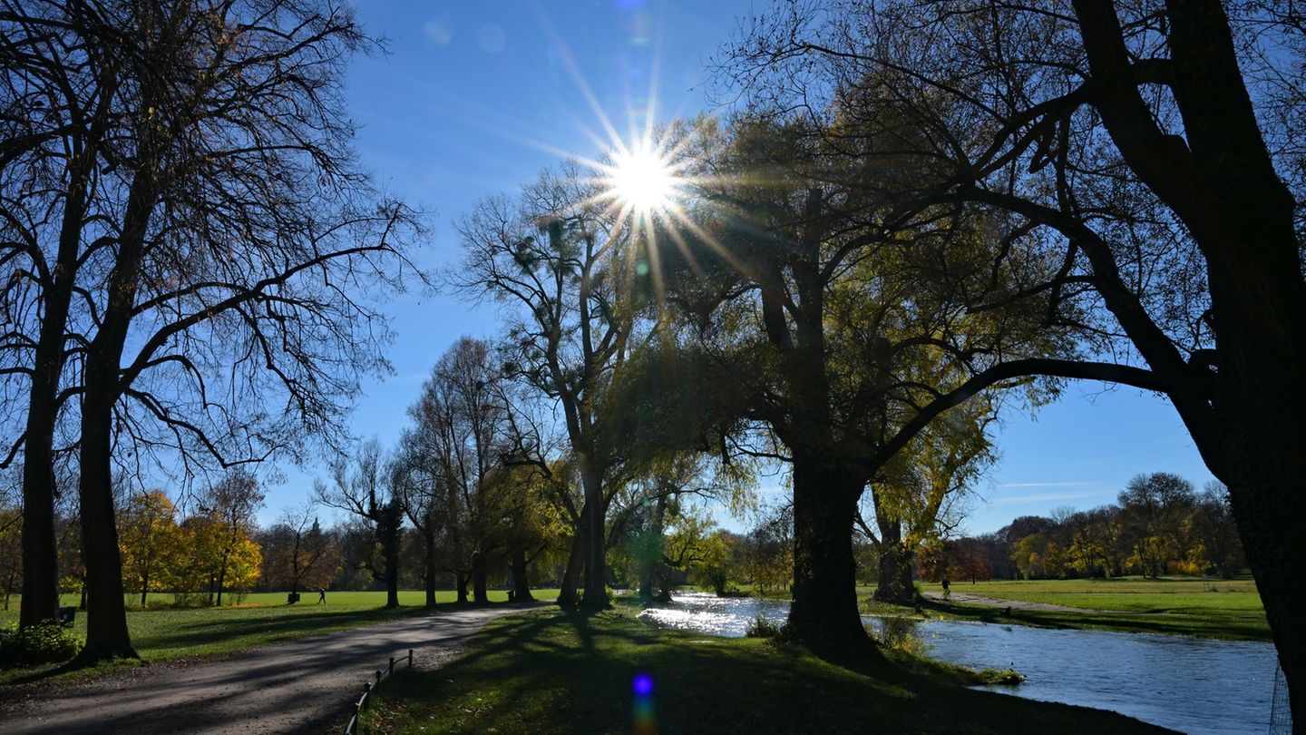 Die Sonne scheint durch Bäume im Englischen Garten: In Bayern soll es in den kommenden Tagen sonnig und mild werden. (Archivbild