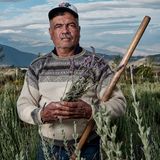 Ein Mann steht in einem Feld