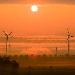 Wie sollte Klimaschutz verbindlich festgeschrieben werden? (Symbolbild) Foto: Julian Stratenschulte/dpa