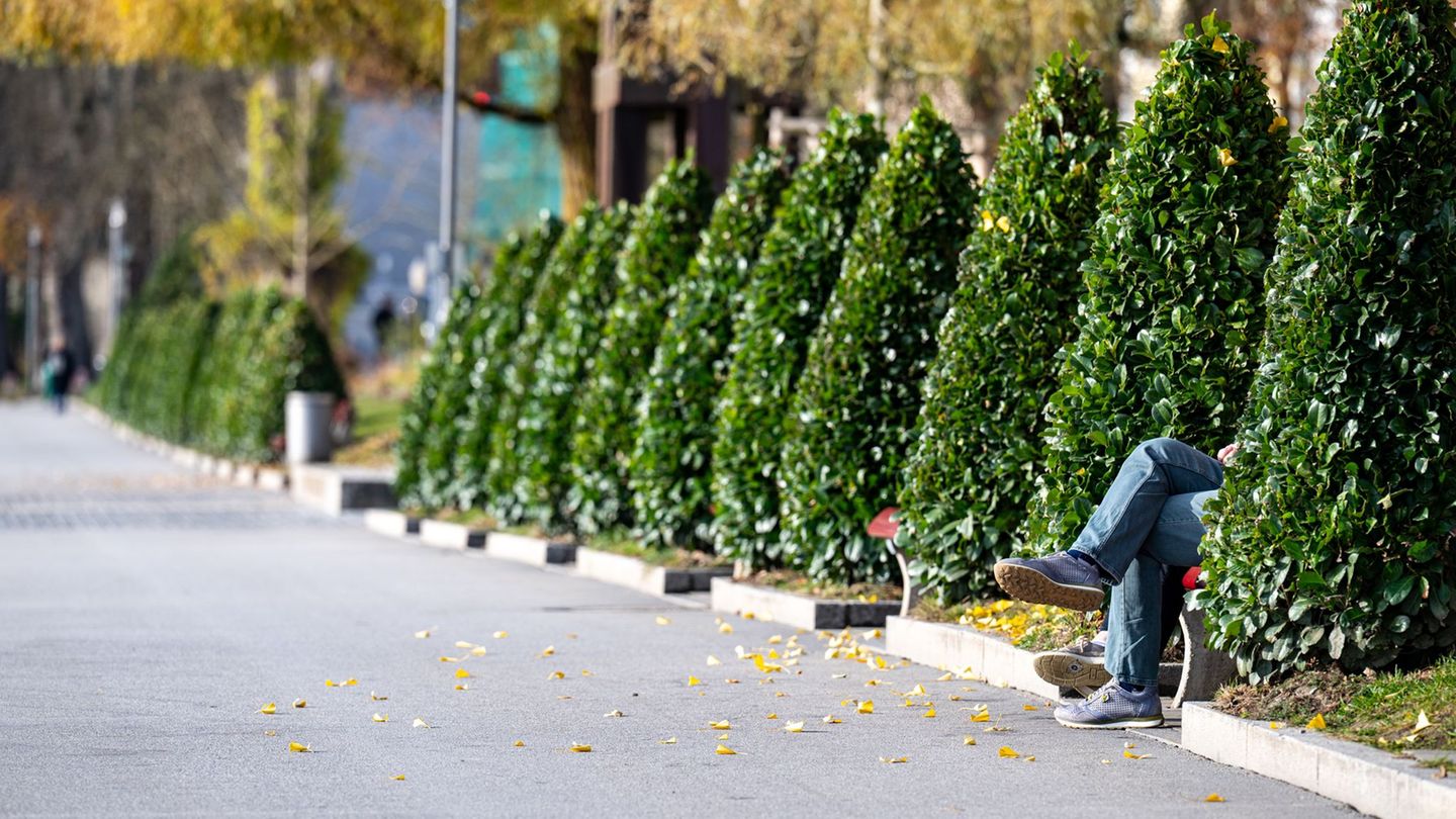 In Bayern soll es in den kommenden Tagen sonnig und mild werden. Foto: Armin Weigel/dpa