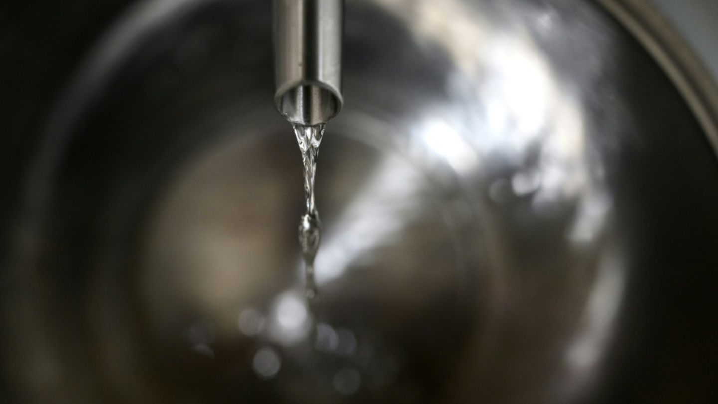 Gin wird in einer Brennerei destilliert.