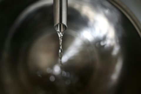 Gin wird in einer Brennerei destilliert.