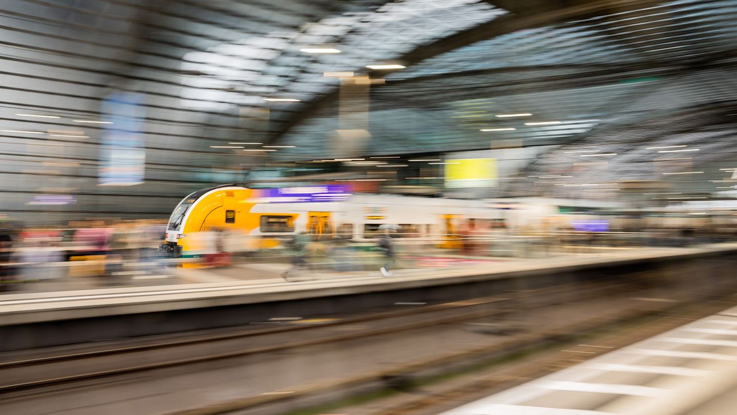 Bahnreisende konnten den Mann entwaffnen. (Symbolbild) Foto: Christoph Soeder/dpa
