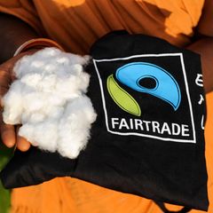 Das Lieferkettengesetz sollte sicherstellen, dass etwa bei der Ernte von Baumwolle oder Obst keine Arbeiter ausgebeutet werden