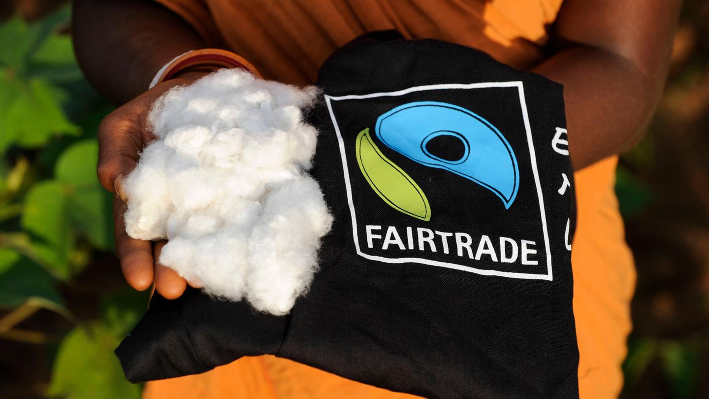 Das Lieferkettengesetz sollte sicherstellen, dass etwa bei der Ernte von Baumwolle oder Obst keine Arbeiter ausgebeutet werden