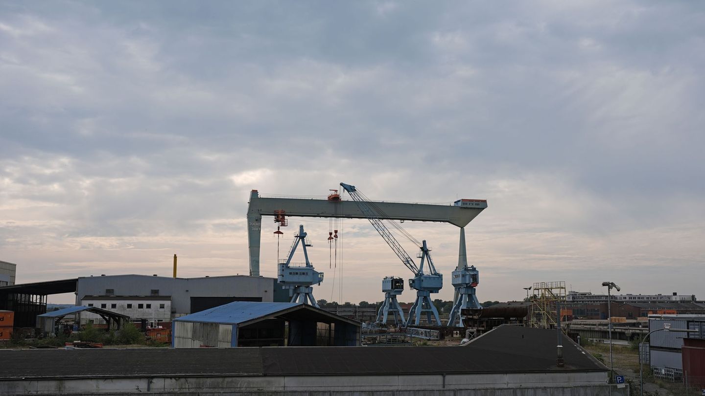 Der große Jucho-Portalkran steht nahe mehreren Portalkränen auf dem Gelände. (Archivbild) Foto: Marcus Brandt/dpa