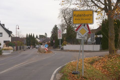 Der Gemeinde zufolge besteht wegen der Sichtung "nach wie vor kein Grund zur Panik". Foto: Thomas Frey/dpa