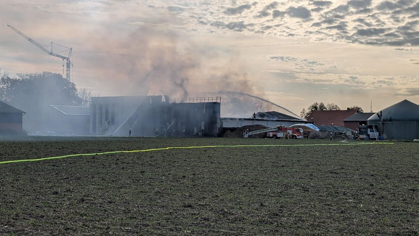 Das Feuer brach gegen Mittag aus. Foto: David Poggemann/Nord-West-Media TV /dpa