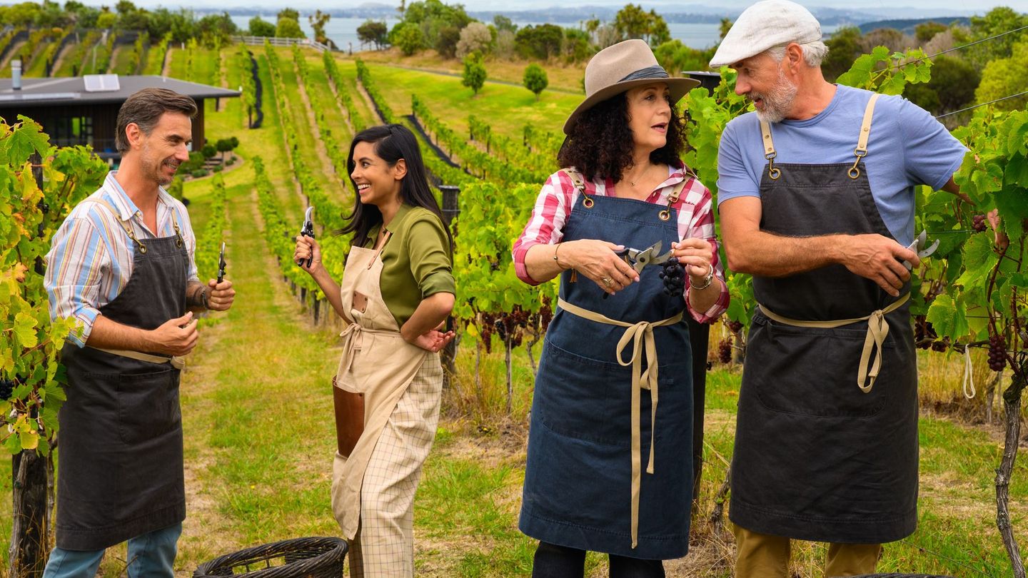 Trügerische Idylle: Kapitän Parger (Florian Silbereisen, links), Schiffsärztin Dr. Delgado (Collien Fernandes, zweite von links), Hoteldirektorin Hanna Liebhold (Barbara Wussow) und Staff-Kapitän Martin Grimm (Daniel Morgenroth) versuchen sich in Neuseeland als Winzer. Nur: Warum geraten Hanna und Martin auf dieser Reise immer wieder in Streit?