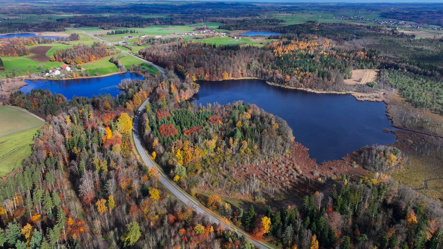 Hier sollte ein neues Schutzgebiet entstehen, das nun gestoppt wurde. Foto: Felix Kästle/dpa