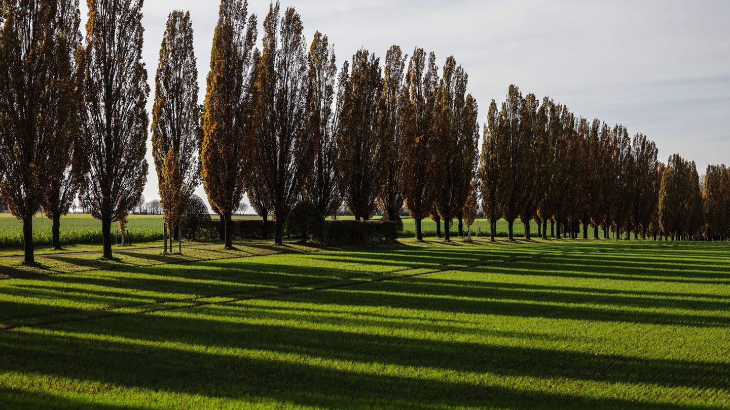 Nach den warmen Tagen wird es in Baden-Württemberg zum Wochenstart deutlich kühler. (Archivfoto) Foto: Oliver Berg/dpa