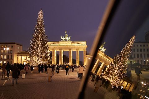Eine "Gemeine Fichte" aus Sömmerda wird in diesem Jahr den Pariser Platz in Berlin schmücken. (Archivbild) Foto: Jörg Carstensen