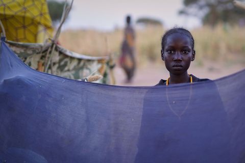 UN-Hochkommissar Volker Türk: Die internationale Gemeinschaft hat die Menschen in Al-Faschir im Stich gelassen. (Archivbild) Fot