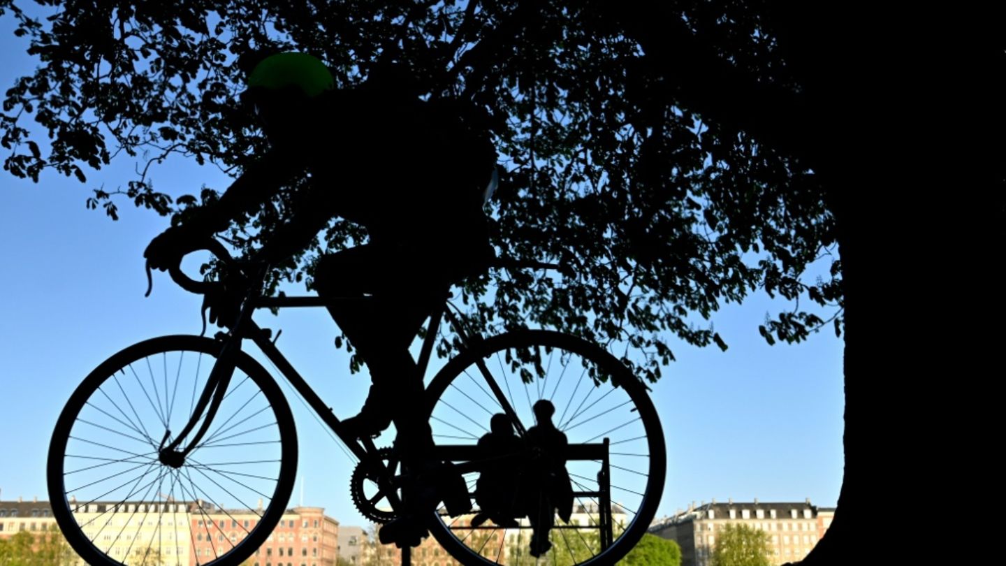 Diebe-angeln-sich-vom-Dach-aus-Fahrr-der-Eine-Million-Euro-Schaden