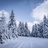 Wald von Klatovy, Tschechien