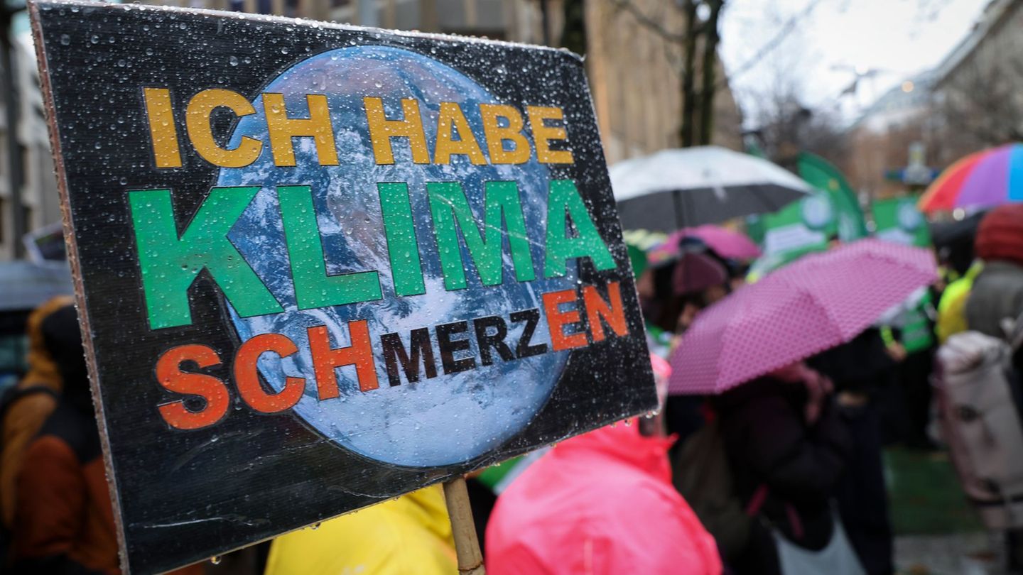 Die Klimaschutzbewegung Fridays for Future hat am Freitag auch in Dresden viele junge Menschen mobilisiert (Symbolbild). Foto: C