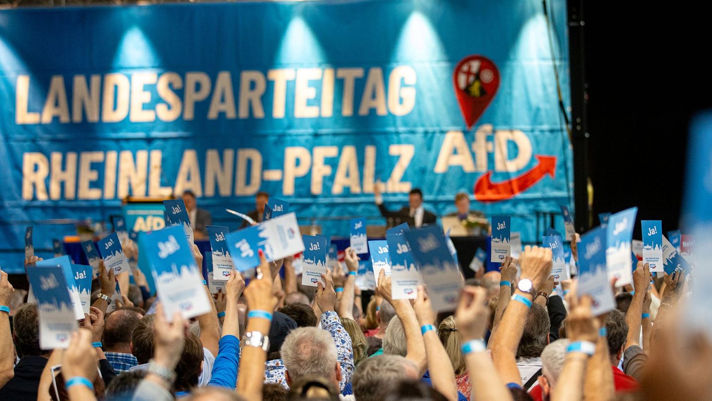 Aus Sicht der AfD ist der Parteitag auch ein Auftakt zum anstehenden Wahlkampf. (Archivbild) Foto: Laszlo Pinter/dpa