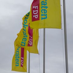 Wer führt die FDP in Sachsen-Anhalt in den Wahlkampf? (Archivbild) Foto: Peter Gercke/dpa