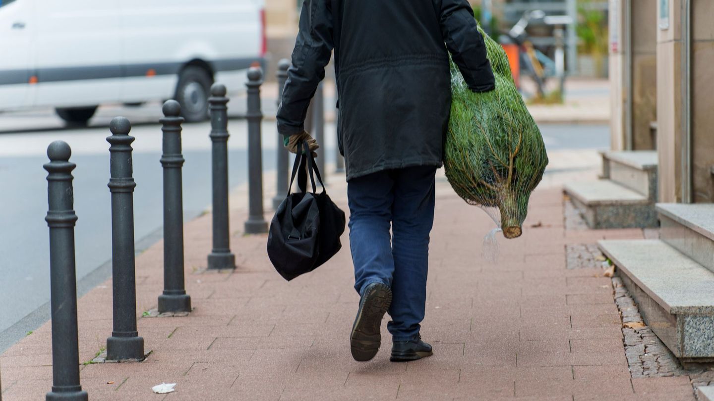 Höhere Lohn- und Betriebskosten lassen die Preise für Weihnachtsbäume in Hessen leicht steigen. (Symbolbild) Foto: Andreas Arnol