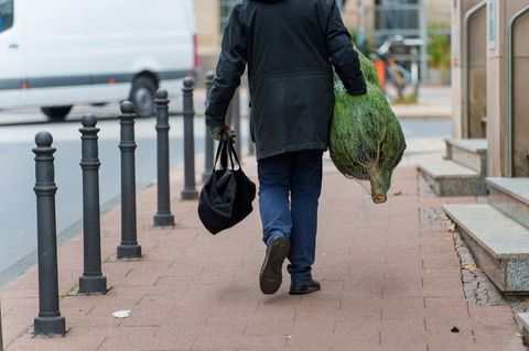 Höhere Lohn- und Betriebskosten lassen die Preise für Weihnachtsbäume in Hessen leicht steigen. (Symbolbild) Foto: Andreas Arnol