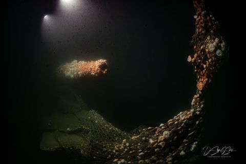 Die Tauchgänge fanden nach Angaben des Teams in großer Tiefe und unter herausfordernden Bedingungen statt. Foto: Dr. Steffen G.