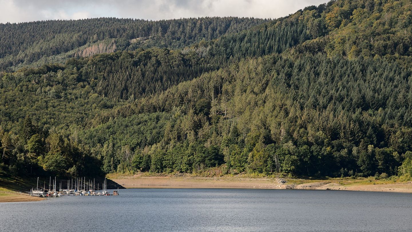 Blick auf den Stausee der Innerstetalsperre. (Archivbild) Foto: Swen Pförtner/dpa