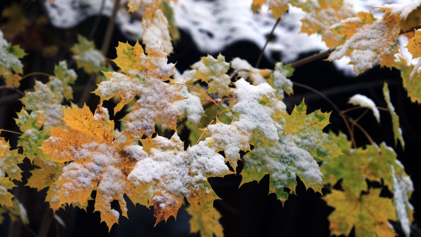 Der Winter löst den Herbst ab. (Archivbild) Foto: Karl-Josef Hildenbrand/dpa