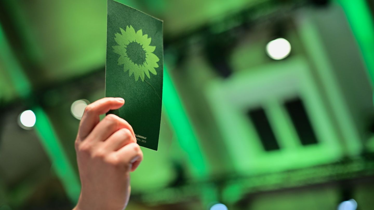 Die Nachfolgerin für den Landesvorsitz steht fest. (Symbolbild) Foto: Sebastian Christoph Gollnow/dpa