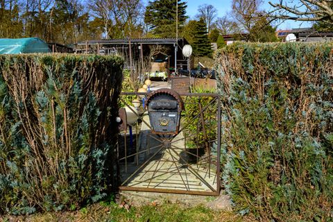 Ministerin Gorißen hat mehrere Kleingärten ausgezeichnet. (Symbolbild) Foto: Patrick Pleul/dpa