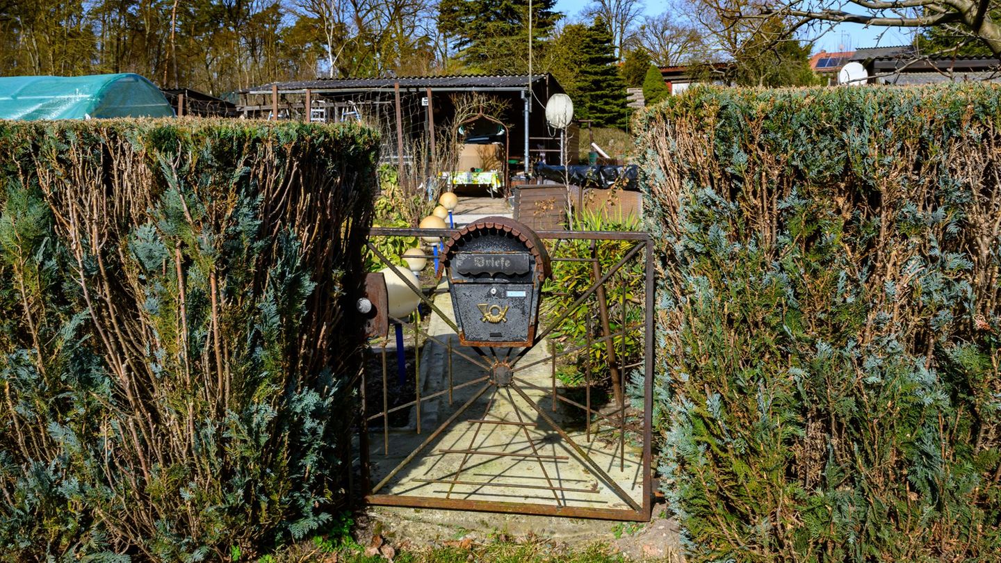 Ministerin Gorißen hat mehrere Kleingärten ausgezeichnet. (Symbolbild) Foto: Patrick Pleul/dpa