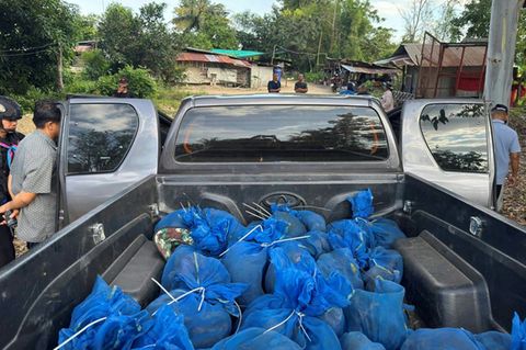 Die blauen Säcke auf der Ladefläche des Fahrzeugs