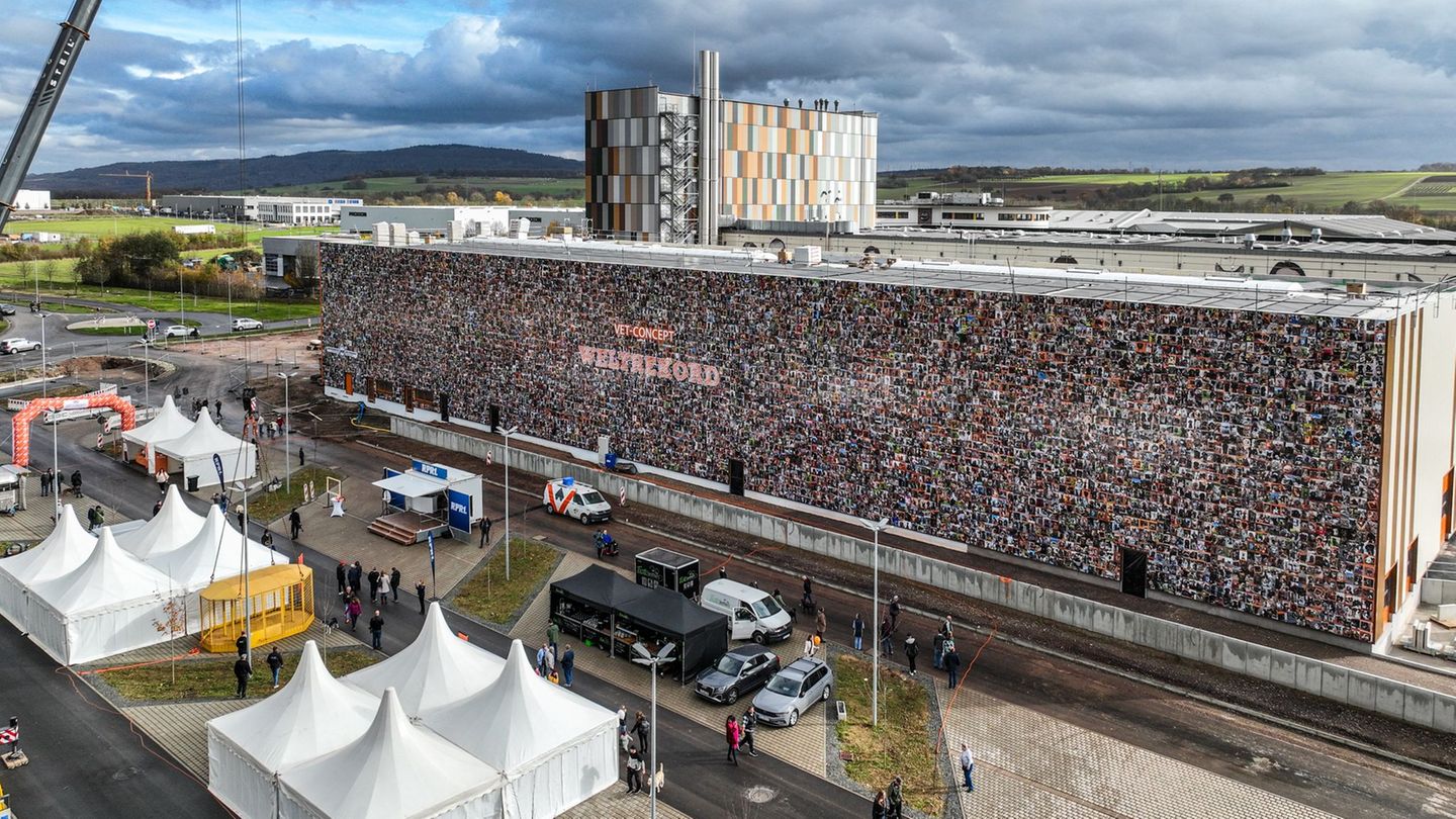 Die Hallenwand ist 1.000 Quadratmeter groß. Foto: Laszlo Pinter/dpa